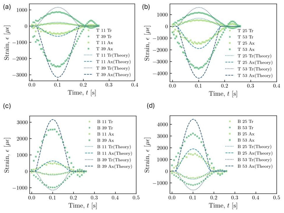 Dynamic strain compared with theory